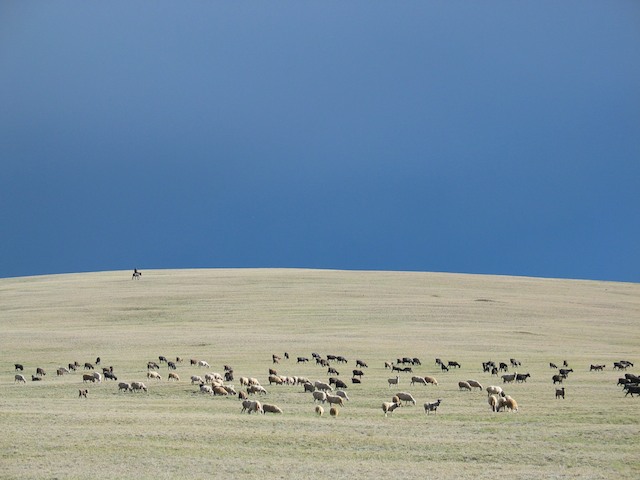 Siberia